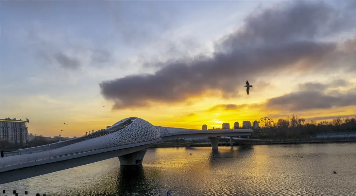 AA Foto Muhabirleri Uluslararası Fotoğraf Yarışmalarında Ödül Aldı