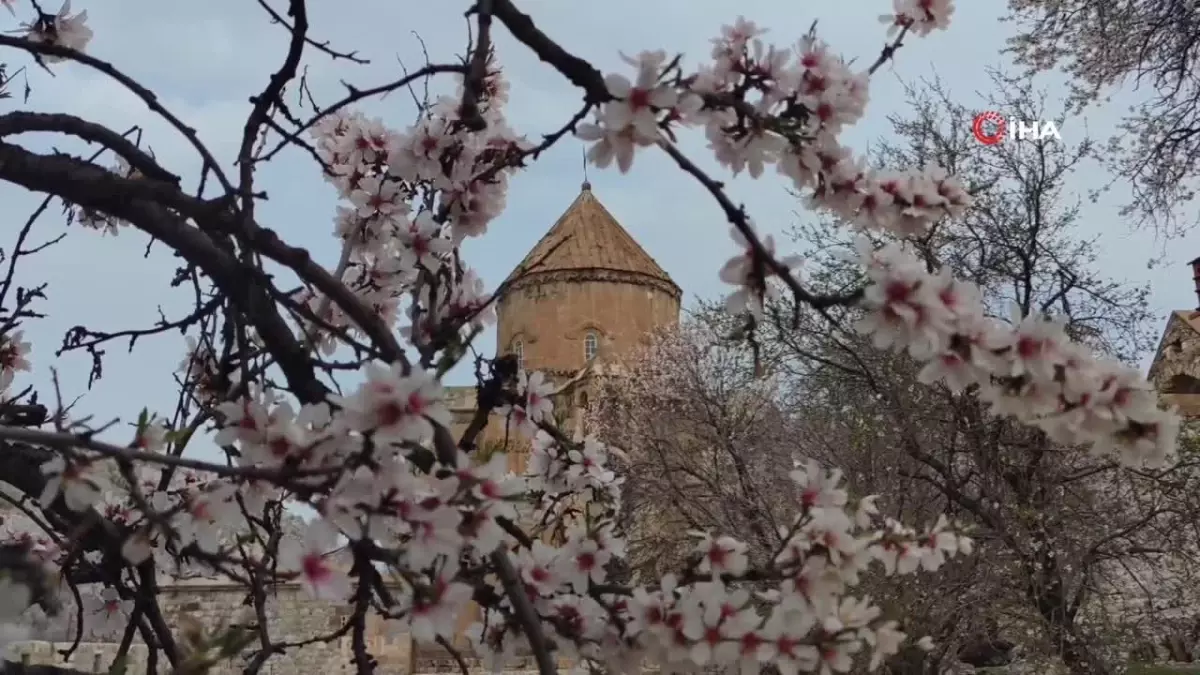 Akdamar Adası renk cümbüşüne büründü