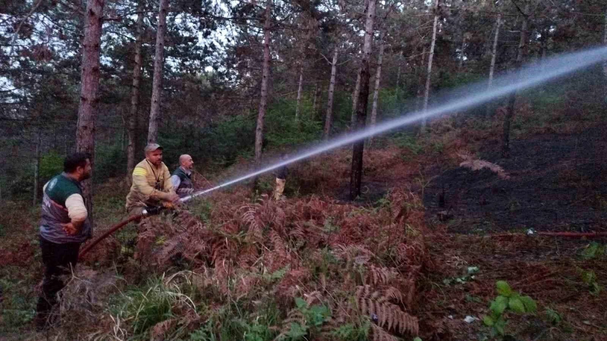 İstanbul Sultanbeyli\'de Orman Yangını Söndürüldü