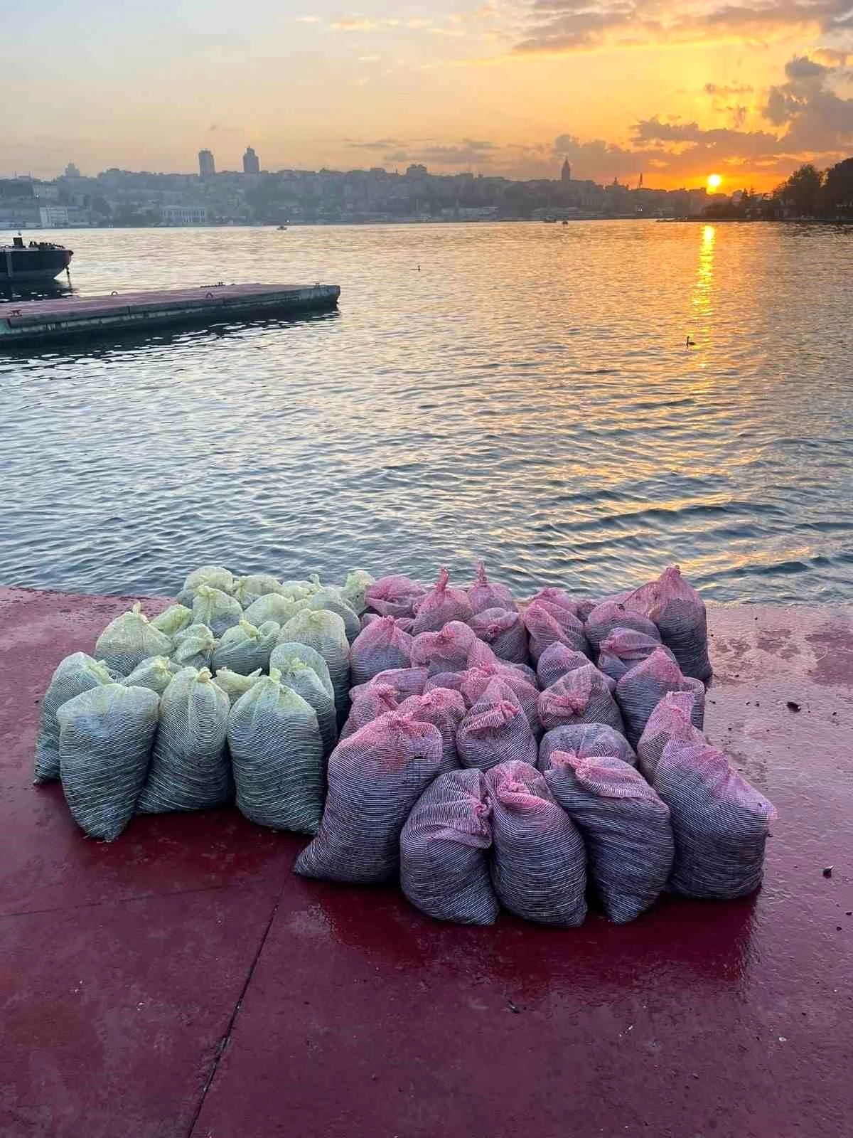 Üsküdar\'da Kaçak Midye Operasyonu: 1,5 Ton Midye Ele Geçirildi, 2 Şüpheli Gözaltına Alındı