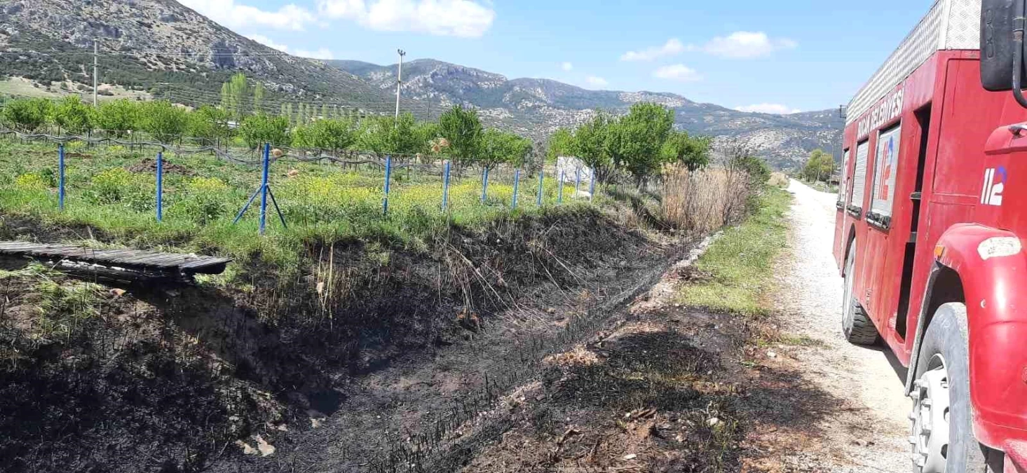 Burdur\'un Bucak ilçesinde çıkan sazlık yangını hızlı müdahale ile söndürüldü