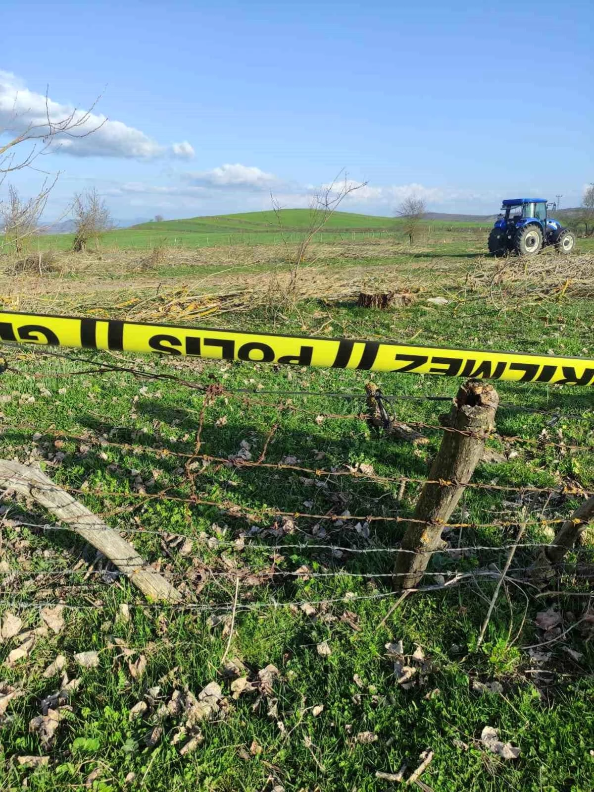 Eflani\'de Ağaç Kesimi Sırasında Kaza: Bir Kişi Hayatını Kaybetti
