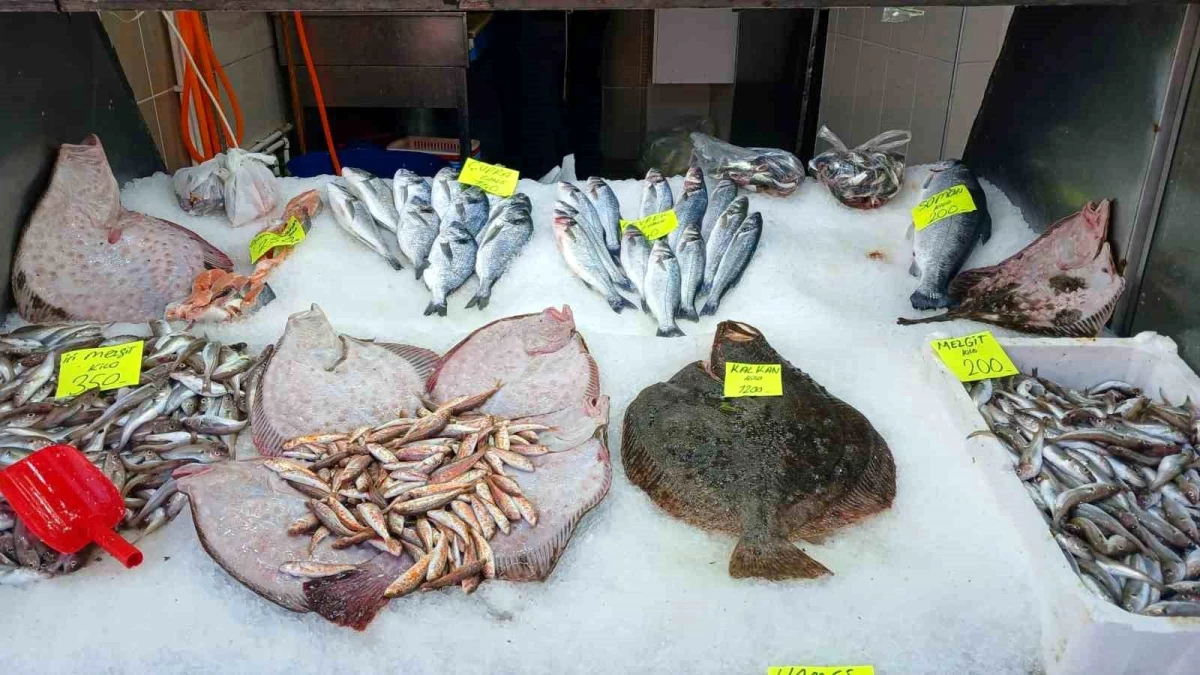 Akçakoca\'da Yakalanan Kalkan Balığı Kilosu Bin 200 Liradan Satışa Sunuldu