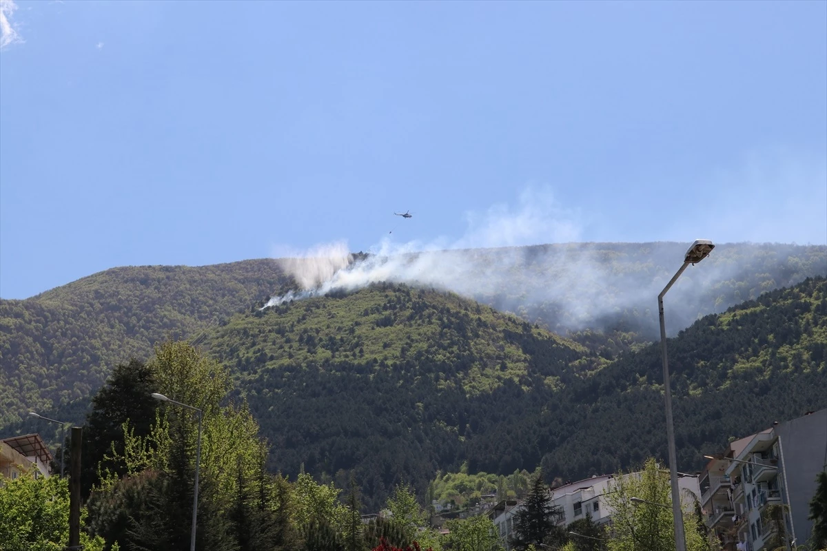 Bursa\'da Uludağ\'ın eteklerinde çıkan orman yangını kontrol altına alındı