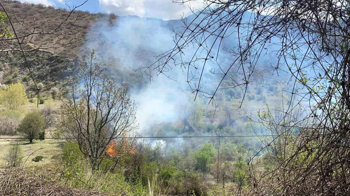 Çankırı-Kastamonu karayolunda çıkan orman yangını ekiplerin müdahalesiyle söndürüldü