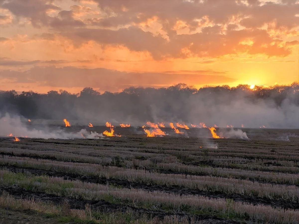 Samsun Çarşamba\'da çıkan tarım arazisi yangını söndürüldü