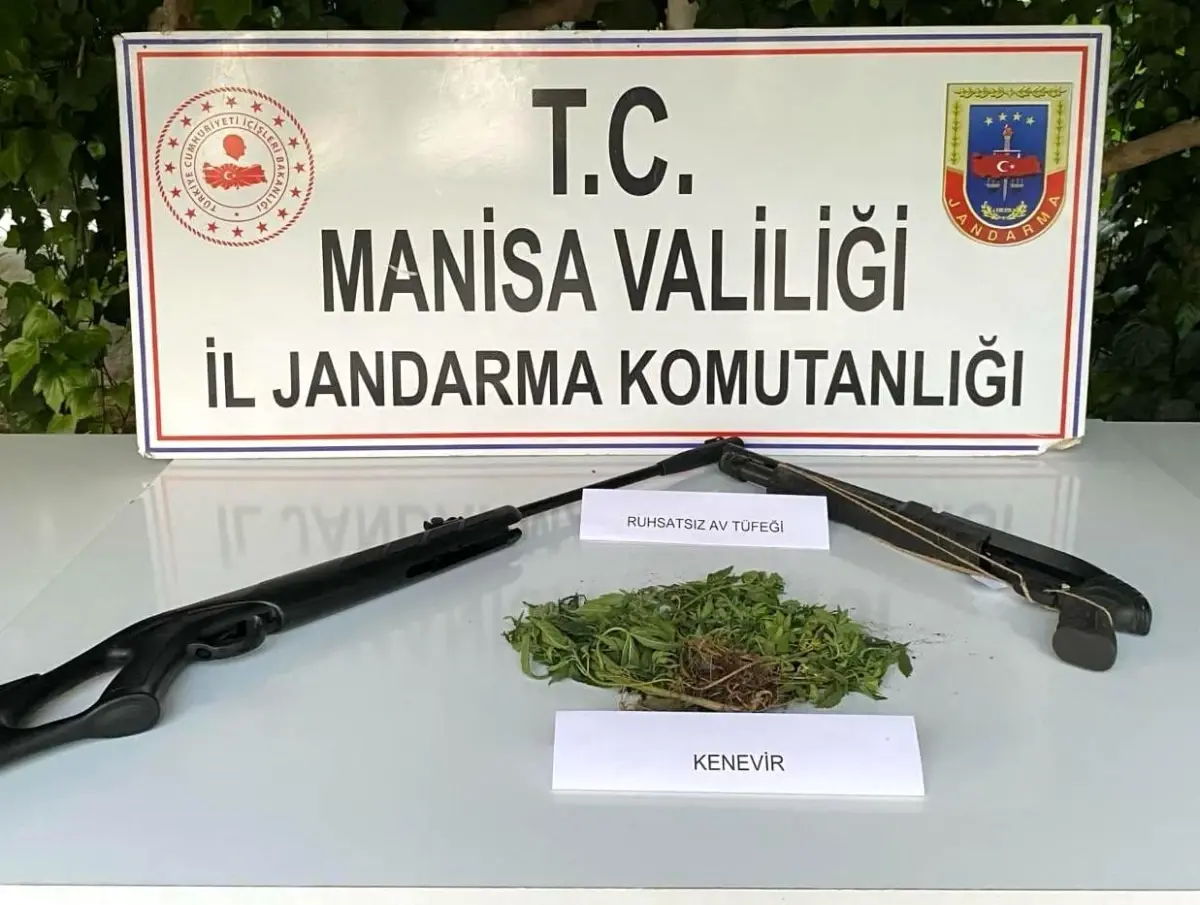 Manisa\'da Hint keneviri yetiştiren 3 kişi suçüstü yakalandı