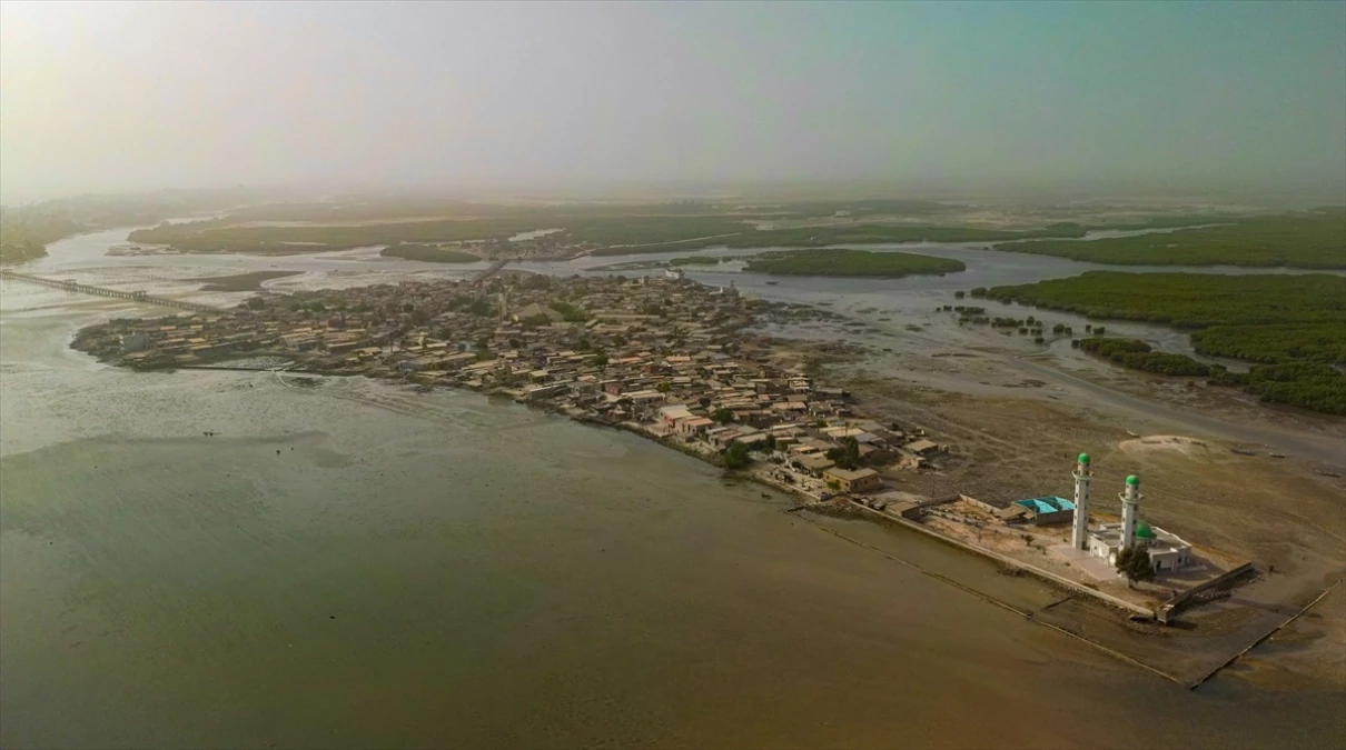 Senegal\'deki Deniz Kabuğu Adası