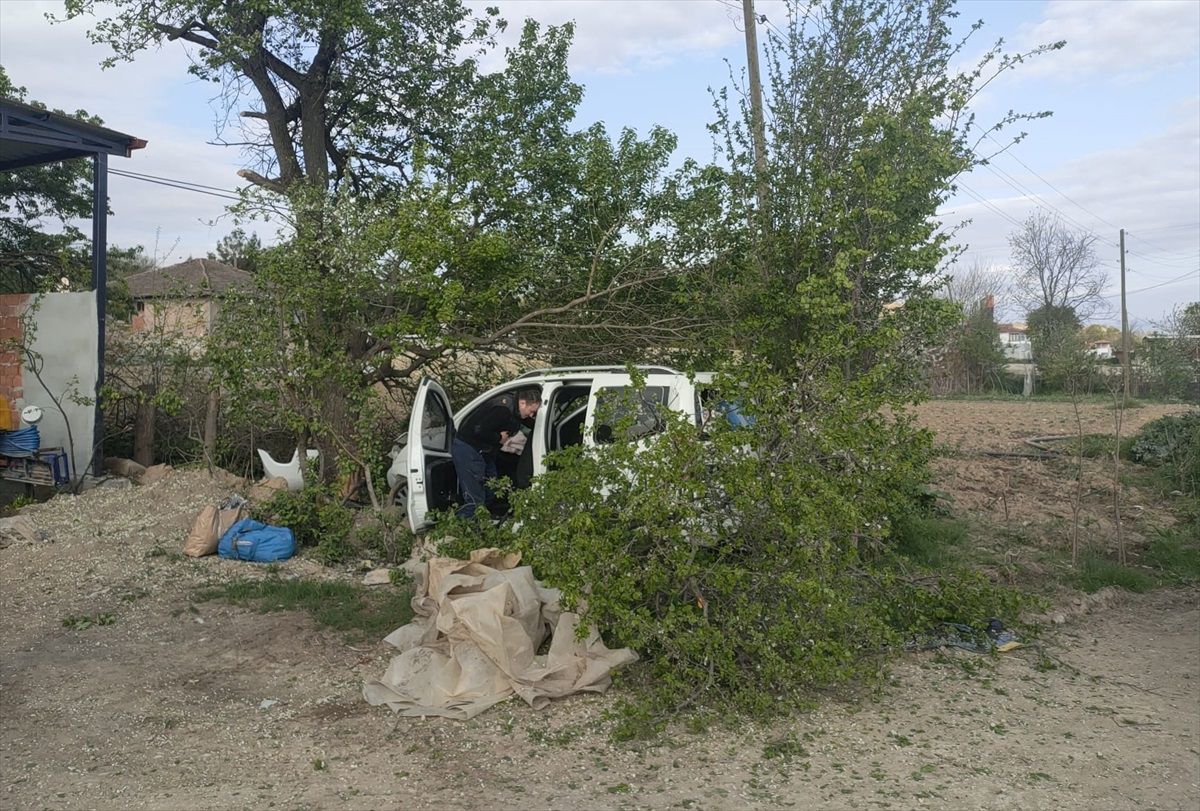 Tokat\'ın Erbaa ilçesinde hafif ticari araç ağaca çarptı, 3 kişi yaralandı