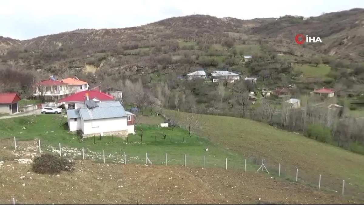 Almanca mezunu genç, köyünün sorunları için muhtar oldu