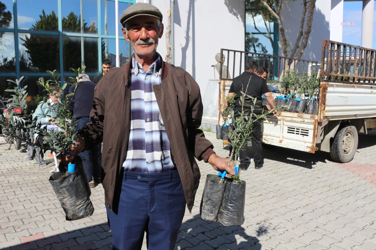 Antalya Büyükşehir Belediyesi\'nden Serikli çiftçilere zeytin fidesi desteği