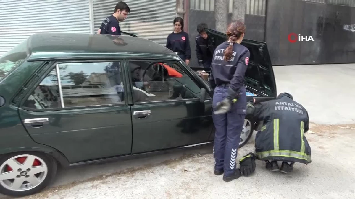 Antalya\'da otomobilde yılan alarmı