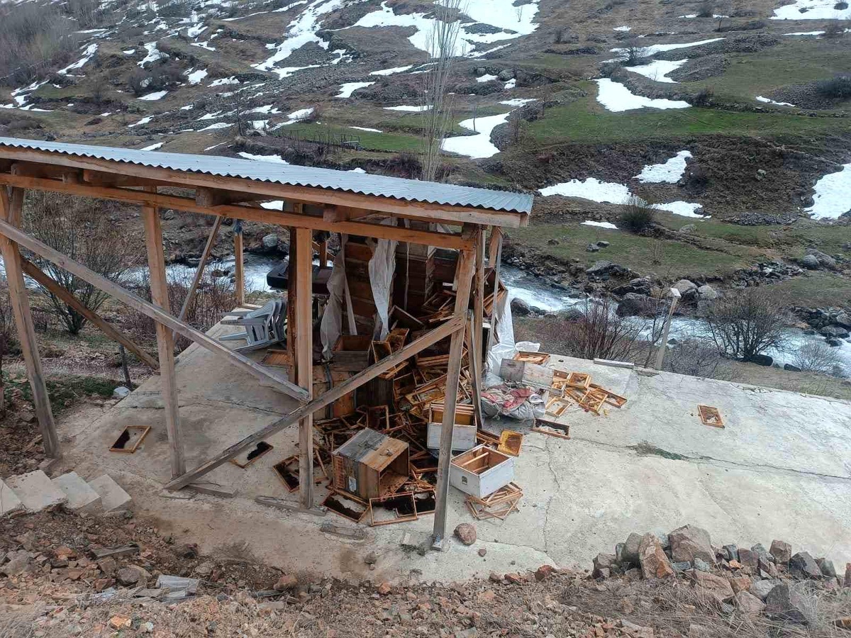Erzurum\'un İspir ilçesinde aç kalan boz ayılar arıcılara ait depoyu dağıttı