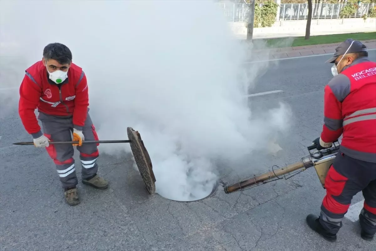 Kocasinan Belediyesi, yaz döneminde ilaçlama çalışmalarını hızlandırdı