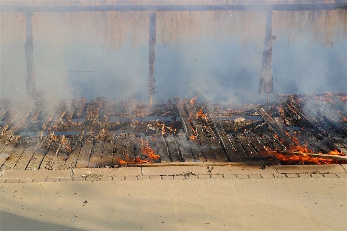 Ankara\'da Mogan Gölü kıyısındaki sazlık yangını söndürüldü