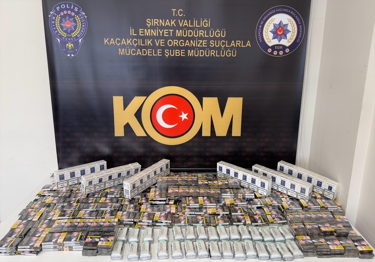 Şırnak\'ta düzenlenen operasyonlarda 27 şüpheli gözaltına alındı