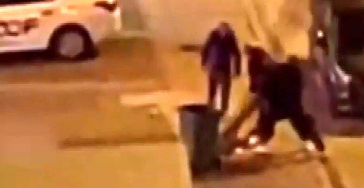 Kaldırımdaki ağacı sökenlere ceza