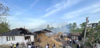 Sakarya'da ahır yangınında 25 büyükbaş telef oldu