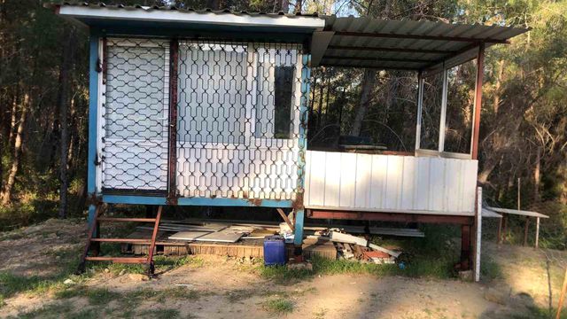 Antalya'da Karı Koca Ormanlık Alanda Ölü Bulundu Antalya'da Karı Koca Ormanlık Alanda Ölü Bulundu