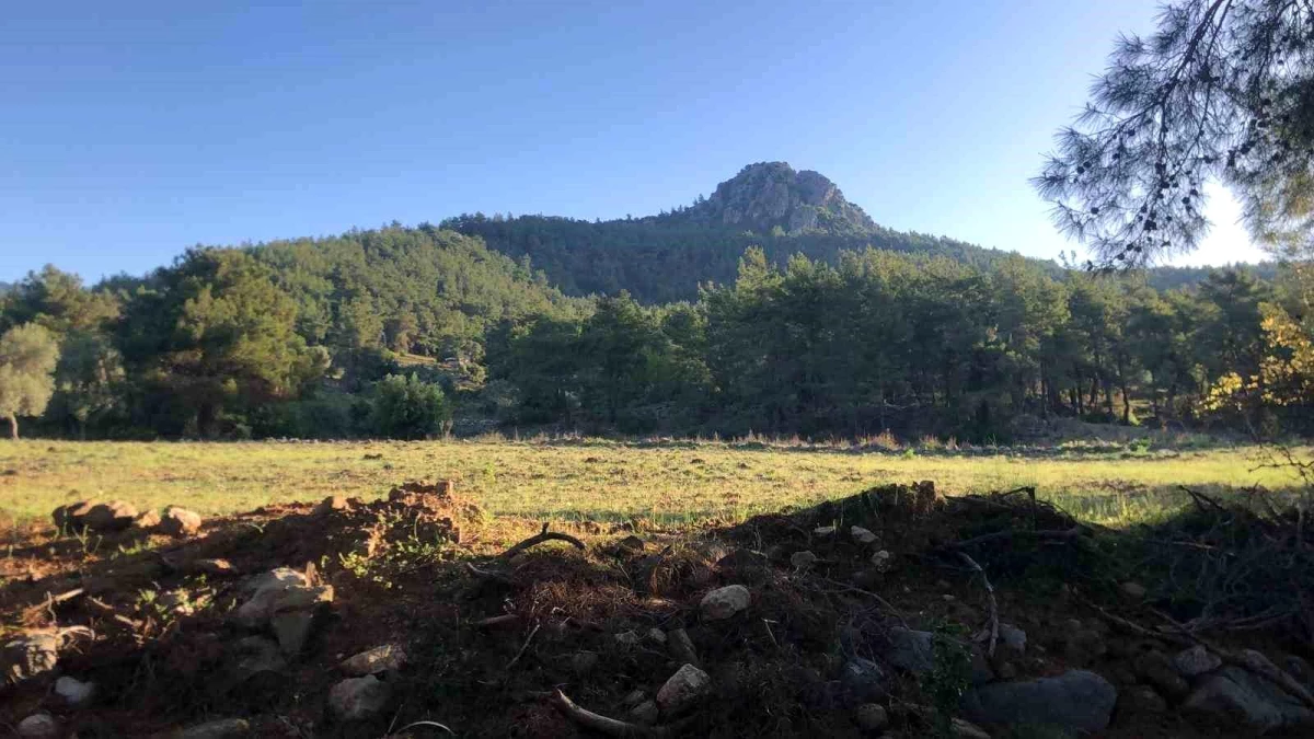 Karı koca, bağ evinde ölü bulundu