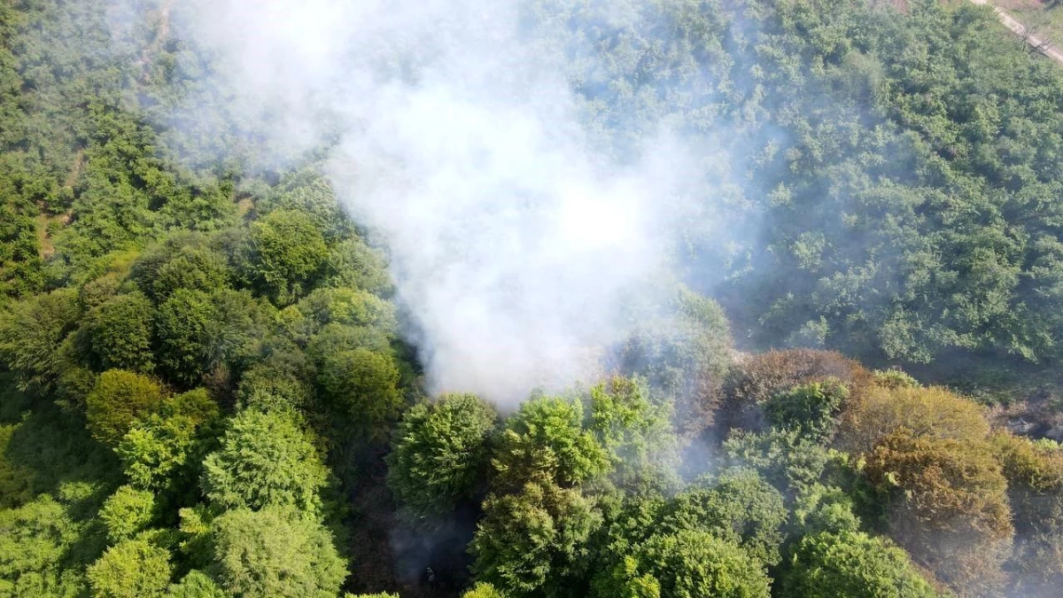 Kocaali\'de Fındıklık Bahçesinde Çıkan Yangın Ormanlık Alanda Büyük Tahribata Yol Açtı