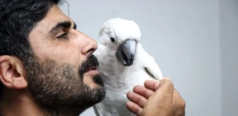 Bursa'da Bir Ailenin Papağanı Sosyal Medyada İlgi Görüyor