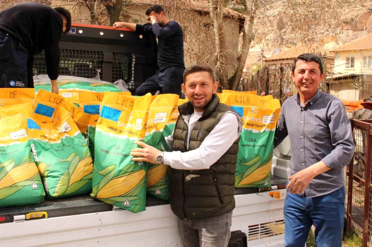 Antalya Büyükşehir Belediyesi Hayvancılık İçin Hibrit Mısır Tohumu Dağıtımına Başladı