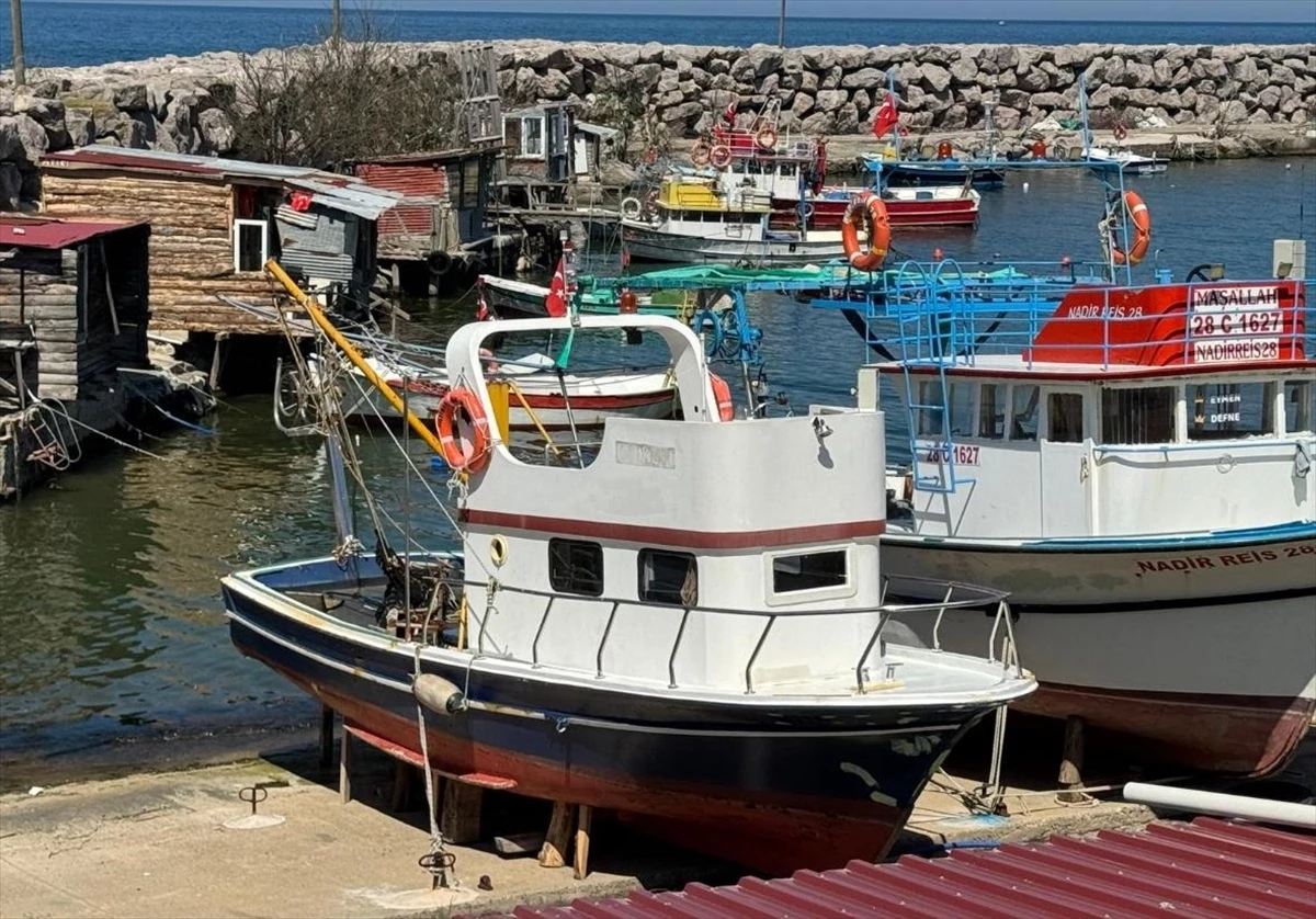 Karadenizli Balıkçılar Hamsi Avından Memnun