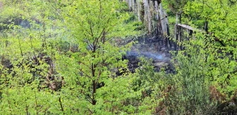 Kastamonu'nun Cide ilçesinde ormanlık alanda çıkan yangın itfaiye ekipleri tarafından söndürüldü