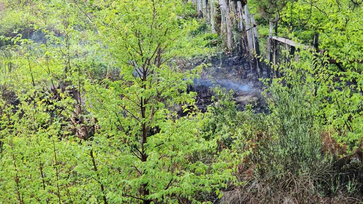 Kastamonu\'nun Cide ilçesinde ormanlık alanda çıkan yangın itfaiye ekipleri tarafından söndürüldü