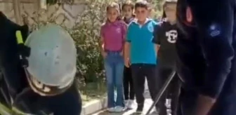 Alanya'da okul bahçesindeki yılan itfaiye tarafından yakalandı
