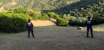 Aydın İl Jandarma Komutanlığı Orman Yangınlarına Karşı Önlemlerini Artırıyor