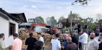 Sakarya'da çıkan yangında çok sayıda büyükbaş hayvan telef oldu