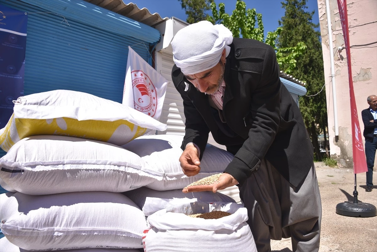 Şanlıurfa\'da üreticilere 11 ton çeltik tohumu dağıtıldı