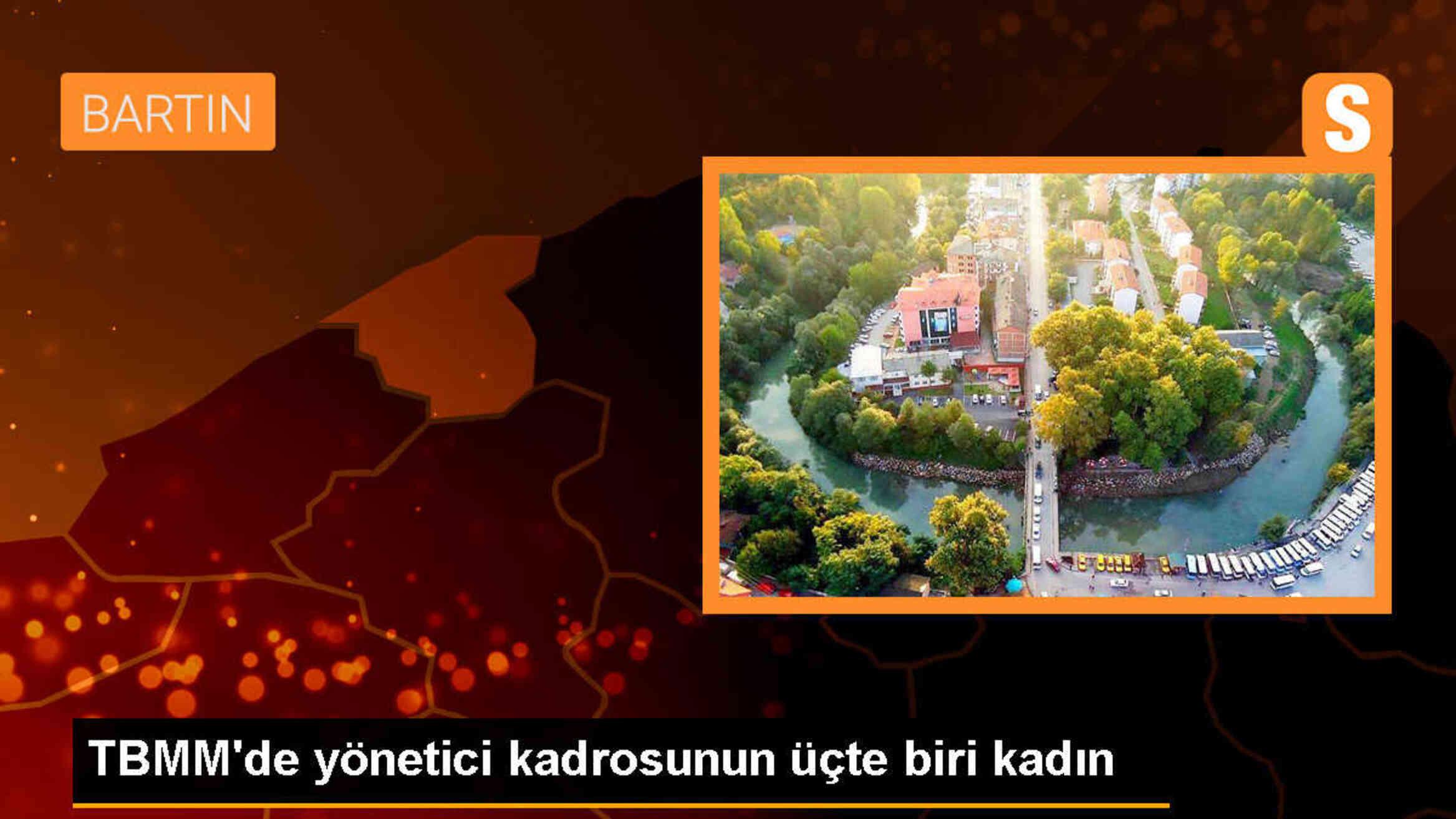 TBMM\'de Kadın Personel ve Yöneticilerin Dağılımı