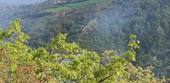 Tokat'ın Niksar ilçesinde ormanlık alanda çıkan yangın söndürüldü