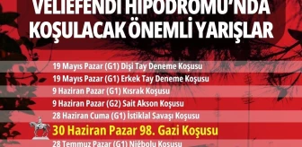 İstanbul Veliefendi Hipodromu'nda Şampiyonların Belli Olacağı Yarış Şöleni Başlıyor