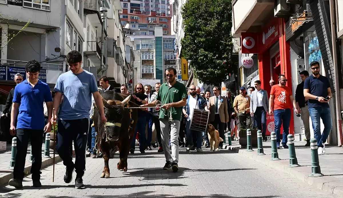 Artvin\'de Turizm Haftası etkinlikleri kapsamında kortej yürüyüşü yapıldı