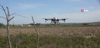 Bafra Ovası'nda dron destekli sivrisinek mücadelesi