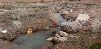 Develi'de bağcılar, su sorunu nedeniyle yardım istedi