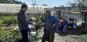 Gazipaşa'da Hasat Öncesi Pestisit Denetimi Devam Ediyor