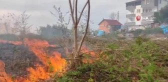 Giresun'da bitki örtüsü yangını korkuttu