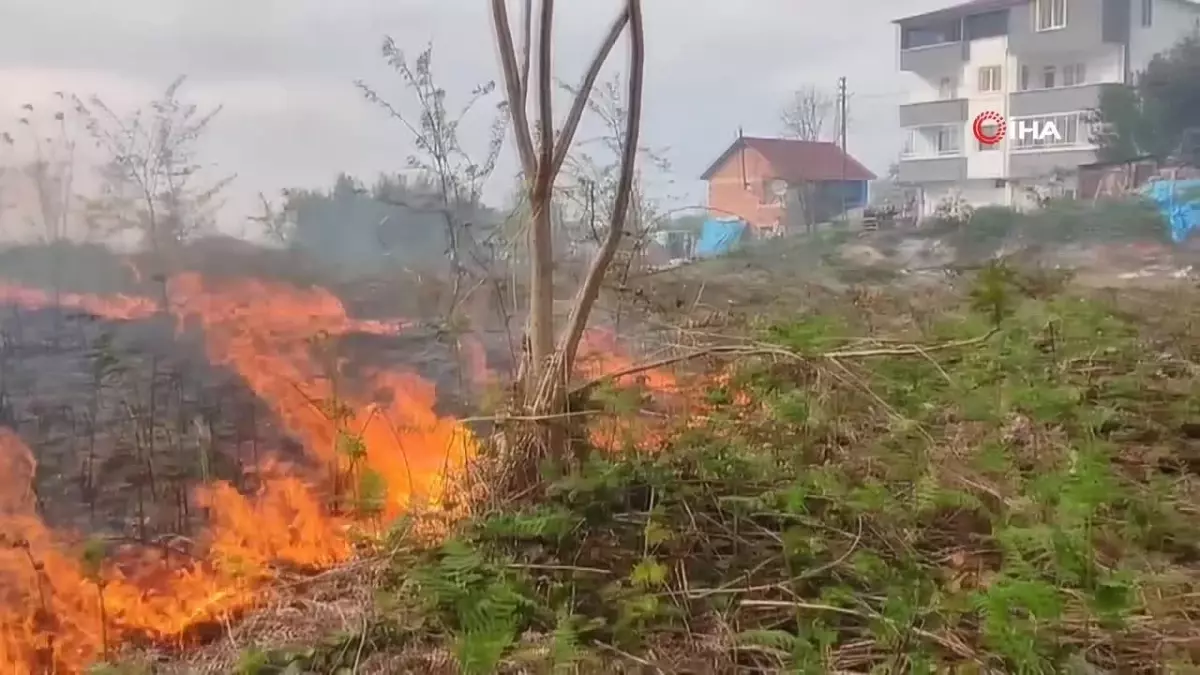 Giresun\'da bitki örtüsü yangını korkuttu