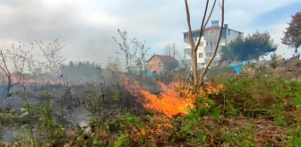 Giresun'da çıkan örtü yangını itfaiye tarafından söndürüldü