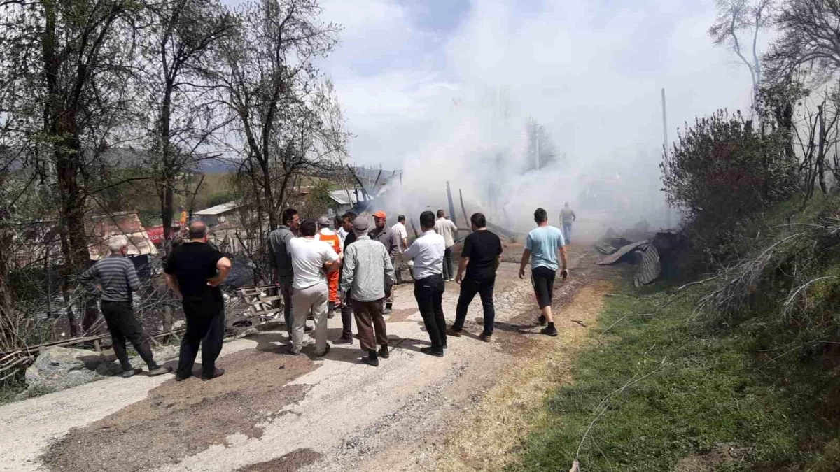 Bolu\'da çıkan yangında 2 bin saman balyası küle döndü