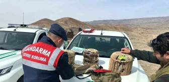 Kars'ta yasa dışı keklik avı: 2 kişi suçüstü yakalandı