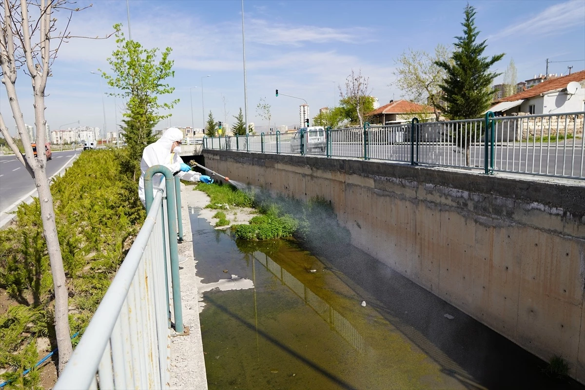 Melikgazi Belediyesi İlaçlama Çalışmalarıyla Larva ve Sivrisineklere Karşı Mücadele Ediyor