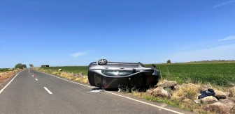 Şanlıurfa Siverek'te trafik kazası: 4 yaralı