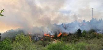 Trabzon ile Giresun sınırındaki 70 dönüm arazide çıkan örtü yangını kontrol altına alındı