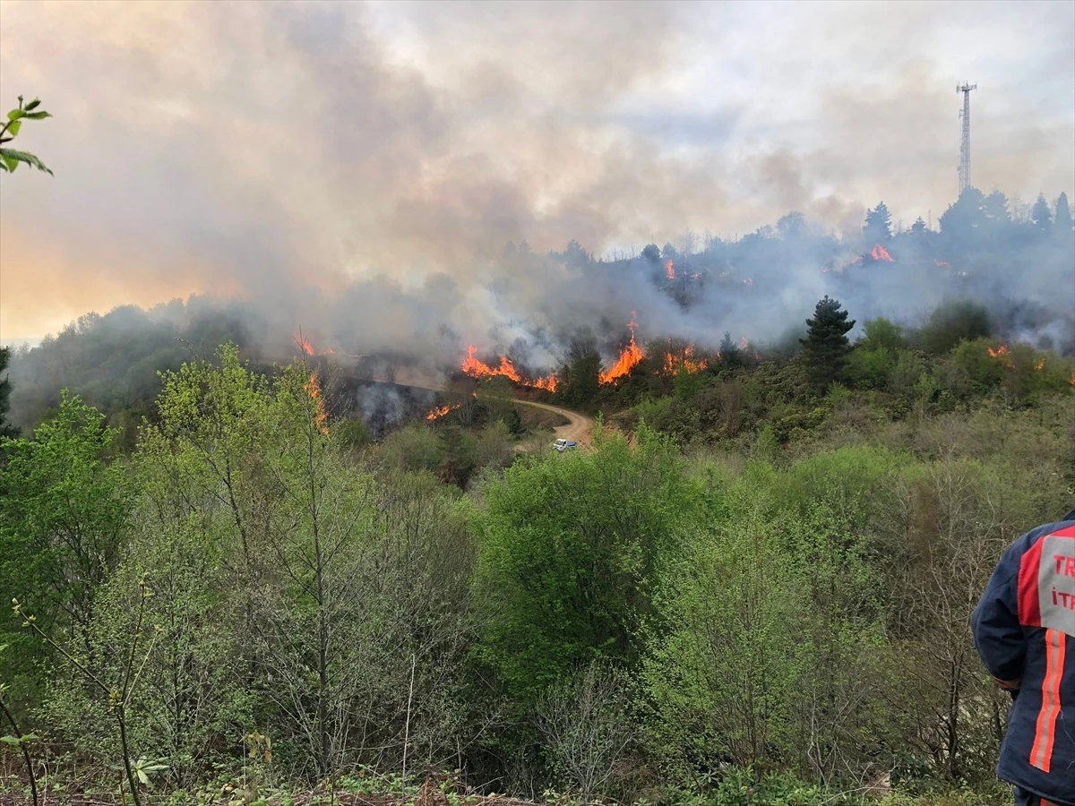Trabzon ile Giresun sınırındaki 70 dönüm arazide çıkan örtü yangını kontrol altına alındı